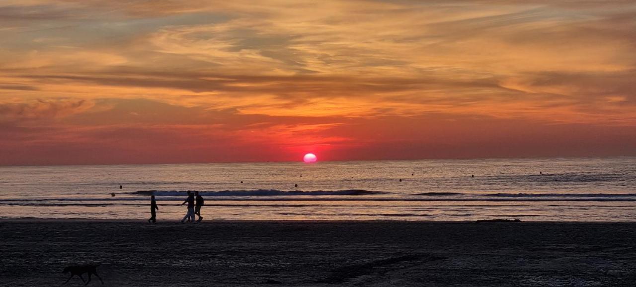 Superbe Studio Avec Une Magnifique Vue Sur La Mer. De Panne Bagian luar foto